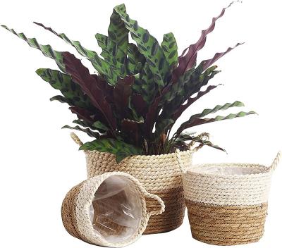 China Grass Woven Water Hyacinth Storage Direct Selling Baskets Tray Hand-Woven Wicker Rattan Eco-Freindly Direct Baskets With Handle for sale