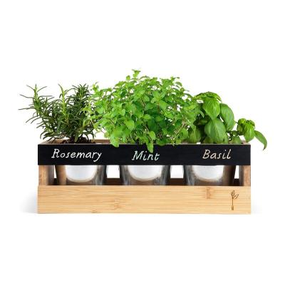 China Minimalist Farmhouse Kitchen Window Planter Box - Succulent, Flower and Herb Garden - Indoor and Outdoor - Includes Rectangle Bamboo Wood Plant for sale