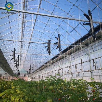 China Single Span Tomato Greenhouse Hydroponics Growing Large Glass Green Houses for sale