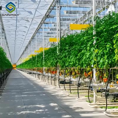 China Agriculture Multi Span Greenhouse For Tomato Plants And Cucumber Growing for sale