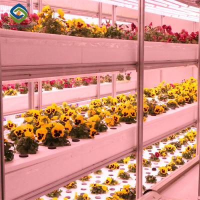 China Toughened Clear Glass Flower Greenhouse Customized With Automatic Systems for sale