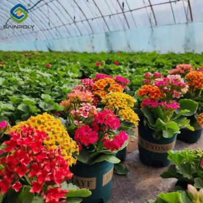 China Commercial 4 Season Greenhouse Flower Planting Greenhouse  UV Resistant for sale