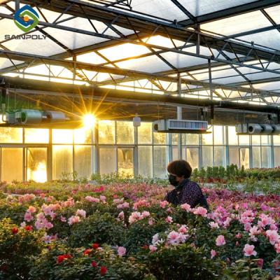 China Flower Growing Steel Frame Greenhouse Wind Resistance Large Glass Greenhouse for sale