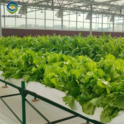 China Commercial Lettuce Greenhouse Low Maintenance Weather Resistant for sale