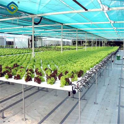 China Easy Installation Customized Agricultural Greenhouses With LED Lighting for sale