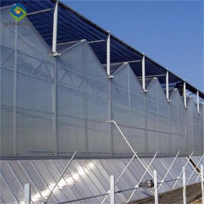 China Agricultural Glass Greenhouse Continuous Skeleton PC Board Greenhouse For Vegetables for sale