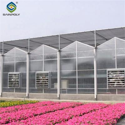 China Sainpoly Transparent Venlo Greenhouse For Seeds Vegetables Growing for sale