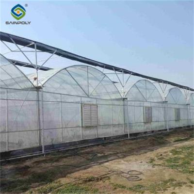 China Automated Commercial  Greenhouse Agriculture Farming Greenhouse Weather Proof for sale