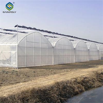 China Invernadero inteligente comercial Invernadero vegetal de esqueleto continuo en venta