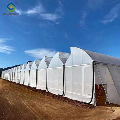 China Double Po Film Gothic High Tunnel Greenhouse High Strength Anticorrosive for sale