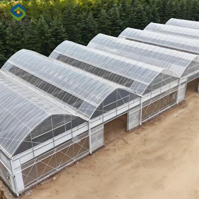 Cina OEM Commercial Polycarbonate Greenhouse Kits Single Span Greenhouse Vegetable Seeding in vendita