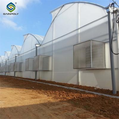 China Gothic Frame Greenhouse Large Size Agricultural Multi Span Plastic Film Greenhouse for sale