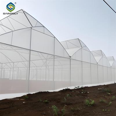 China Indoor Multi Span Plastic Film Gothic Arch Greenhouse With PC Sheet for sale