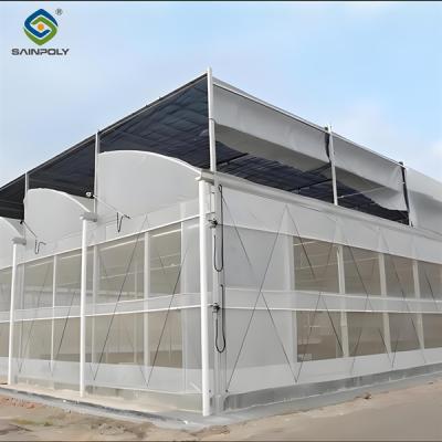 China 4m Height Steel Structure Greenhouse Gothic Type Easy Installation for sale