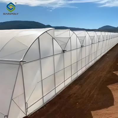 China Simple Multi Span Commercial Gothic Type Greenhouse Wind Resistance for sale