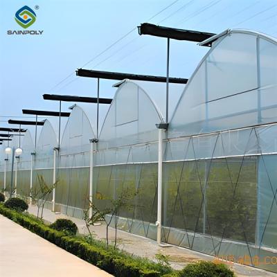 China Strong Ventilation Plastic Film Greenhouse With Hydroponic Growing System for sale