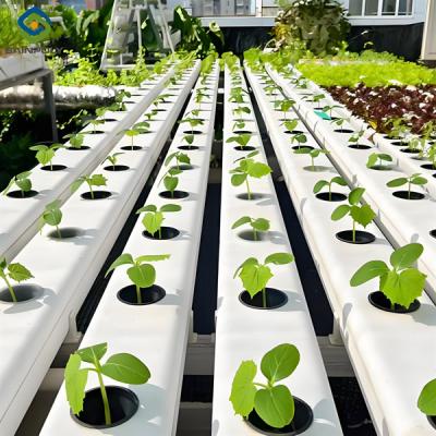 China Food Grade PVC Pipe NFT Channel Hydroponic Greenhouse Eco Friendly for sale