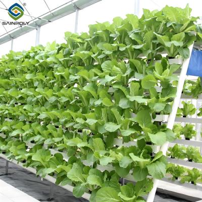 China Soilless Culture Tomato Greenhouse With Nft Hydroponic System for sale