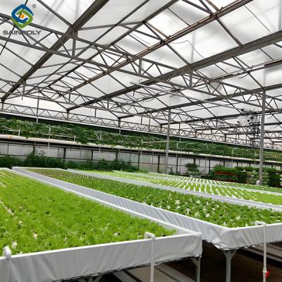 China Invernadero agrícola multispan Invernadero Nft hidropónico completo en venta