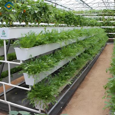 China Agricultural NFT Vertical Growing Greenhouse Soilless Greenhouse Multi Span for sale