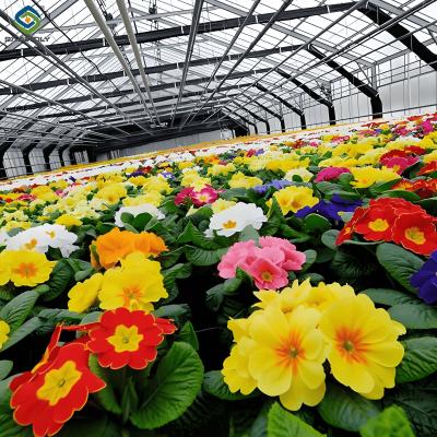 China Easy Assembly Glass Type Flower Greenhouses With Hydroponic Growing System for sale