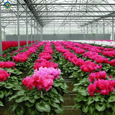 China Customized Flower Green House Easy Assembly Plant Greenhouses for sale