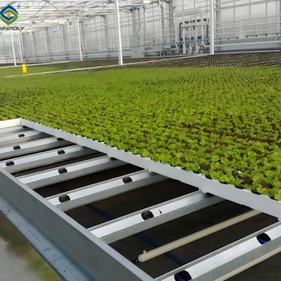 China Customized Size Lettuce Green House Easy Installation With Sliding / Swing Door for sale