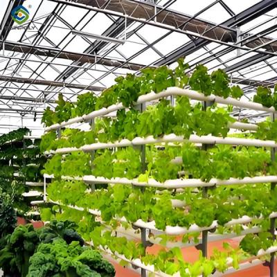 China Weather Resistance Hydroponic System Greenhouse Multispan For Planting for sale