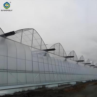 China Galvanized Steel Frame Greenhouse Multi Span Film Covering Space Efficient for sale