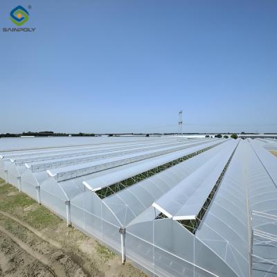 China Customizable Multi Span Greenhouse For Tomato Plants Growing for sale