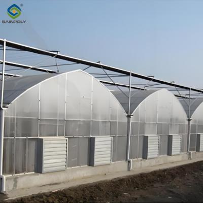 China Easy To Assemble Multi Span Greenhouse For Growing Vegetables And Flowers for sale