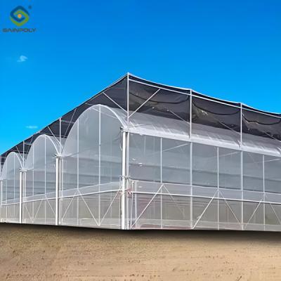 China Stable Structure Agricultural Farming Greenhouse Multi Span For Plant Growing for sale