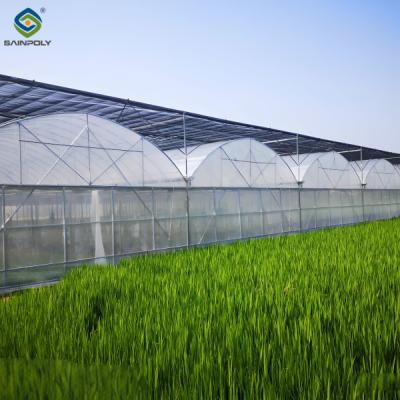 China Commercial Agriculture Multi Span Poly Film Greenhouse Transparent Wind Resistance for sale