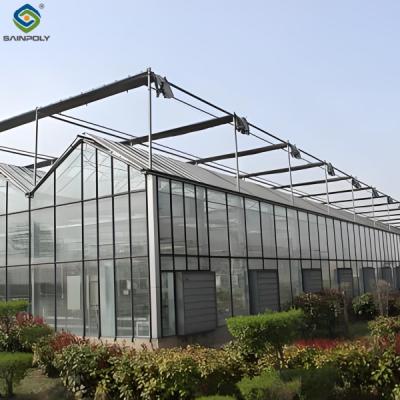 China Hydroponic Venlo PC Polycarbonate Solar Glass Greenhouse Customizable for sale