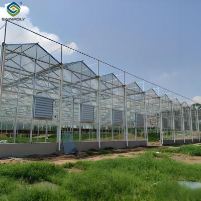 China Adjustable Shading Net Venlo Greenhouse  Multi Span Glass Green House for sale