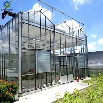 China Intelligent Venlo Glass Greenhouse For Tomato Strawberry Growing Turnkey Project for sale