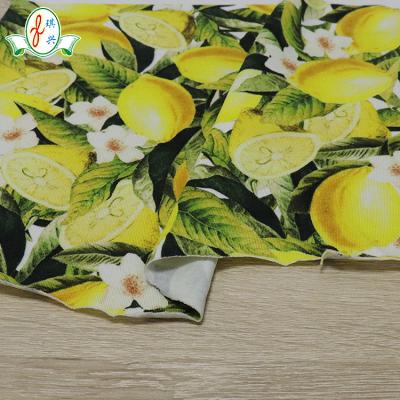 China Plain 95 Cotton 5 Spandex Knit Print Underwear Fabric for sale