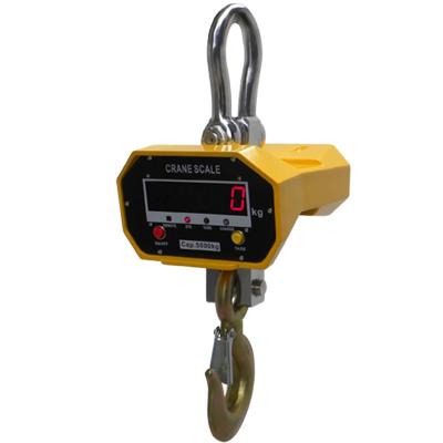 China High Quality Economic Display OCS-SL Electronic Lifting Scales for sale