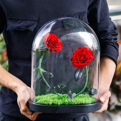 China 2021 New In Christmas Preserved Rose In Glass Dome  Rose With Curving Stem In Glass Bell rose gift for sale