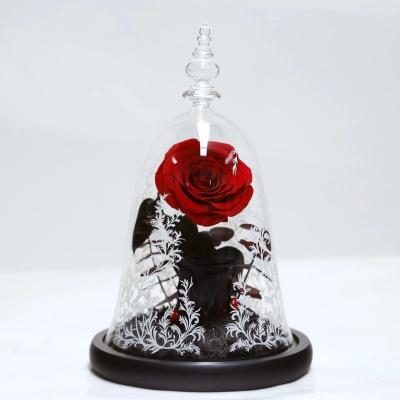 China Beauty and the beast roses valentines day real preserved rose in glass that lasting 3 years for sale