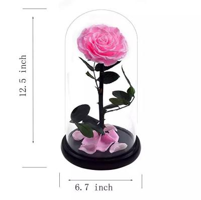 China Natural Fresh Roses Flowers Everlasting Preserved Eternal Rose beautiful Rose Preserved Flower for sale