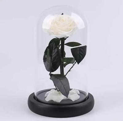 China Preserved Rose Long life Glass Cover Preserved Real Fresh Forever Rose in Glass Preserved Flowers for sale