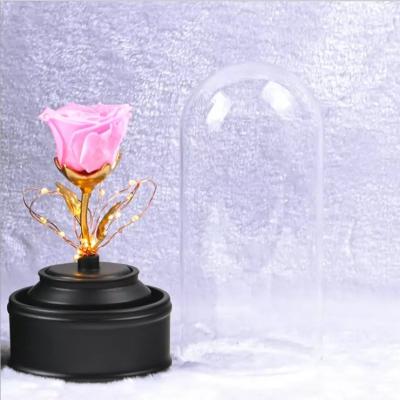 China High quality long lsting preserved rose in glass with lid light for sale