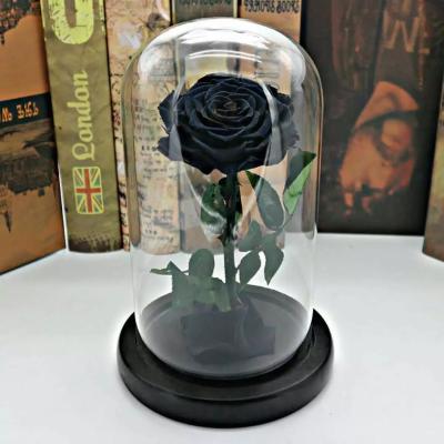 China Wholesale Rose Preserved Flower in Glass Dome Flower for Valentines Day for sale