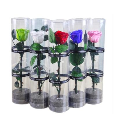 China Wholesale fresh preserved roses with long stems  Decorative Flowers for sale