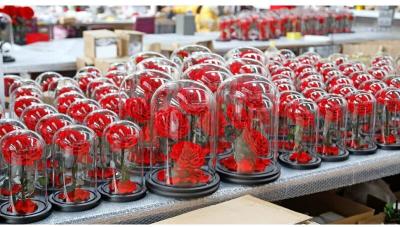 China rose gift Factory Wholesale Eternal Beautiful Forever Little Prince Roses preserved rose in glass for sale