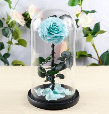 China Hot sale Natural Fresh flower rose in big long glass dome Home Decoration and Christmas gift for sale