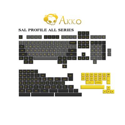 China Computer keyboard SAL profile custom 195 keys doubleshot ABS keytop set RGB backlit mechanical keyboard Akko keycaps for sale