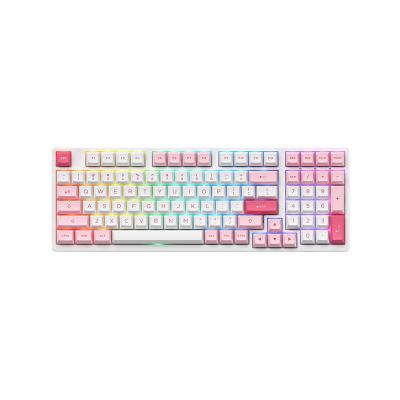 China Anti-ghosting cheap notebook programmable mechanical keyboard with ASA Profile Double Shot PBT keycaps for sale