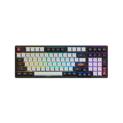 China Anti-ghosting Computer RGB Programmable Mechanical Keyboard for Apple with ASA Profile Double Shot PBT Keycaps for sale